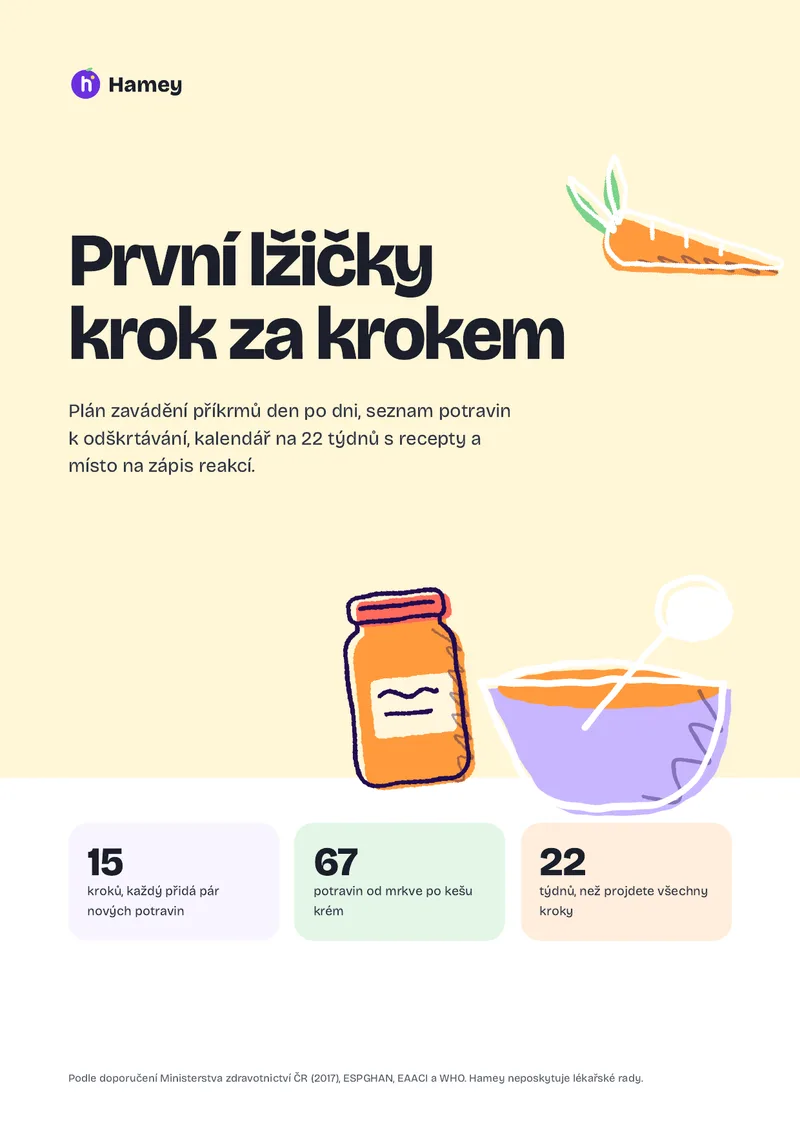 Obálka ebooku První lžičky krok za krokem